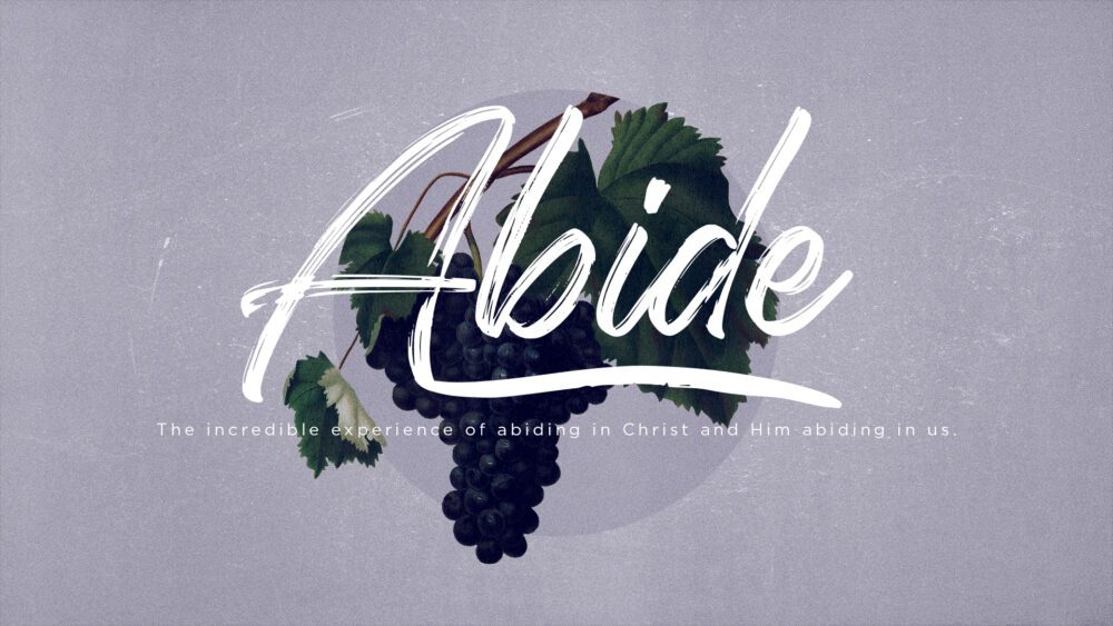 Abide