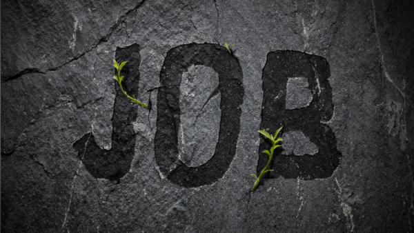 Job